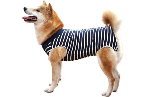 Dotoner Chaleco de recuperación para Perros y Gatos, Protector de heridas Abdominales, Ropa quirúrgica médica para Cachorros(Blue,S)