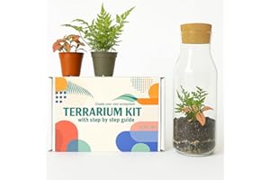 CONCRETELAB&CO Terrarium Kit with Glass Container & Cork Lid, Mini Garden, Gift Idea, DIY Kit (Kit with Fern & Fittonia)