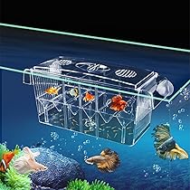 Superfish Kweekbak Drijvend - Aquarium Toebehoren - 1 stuk - Kweekbak