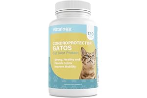 VITTALOGY Condroprotector para Gatos. Antiinflamatorio Natural con Colágeno, Condroitina, Hialurónico y Cúrcuma. Complemento Alimenticio para Caderas, Articulaciones y Cartílagos. 120 Cápsulas