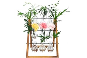 Eclare Plant Propagation Stations, Desktop Propagation Station with Wooden Stand and Glass Bulb Vase for Hydroponics Plants, Retro Plant Terrarium for Home&Office (9 Bulbs)