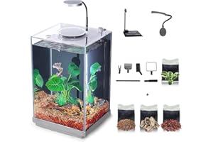 WONDERFACTORY Nano Desktop Betta Aquarium 20x18x30 10L Glas-Fischbecken-Set mit verstecktem Bodenfiltersystem, Beleuchtung, Kies, Pflanzen & Reinigungswerkzeug – platzsparendes Design für kleine Räume