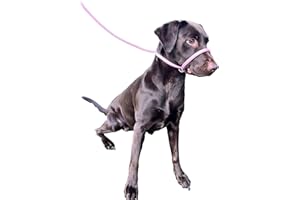 L&J PETS UK No More Pulling! Anti Pull Lead Field Figure 8 / Halter/Head Collar One Size Fits All Super Soft Braided Nylon Comfortable Make Your Walks More Enjoyable -Instructions Included. (Green-Black)