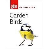 Garden Birds (Collins Gem)
