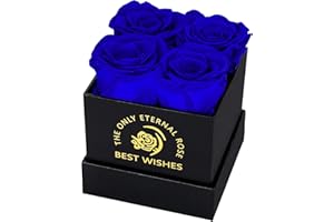 MestectPET Rosenbox mit 4 Infinity Rosen, Blau Ewige Rose Konservierte Blumen Geschenkbox, Valentinstag Muttertag Geburtstag Hochzeitstag Geschenke Für Mutter Freundin Ehefrau Oma Frauen