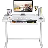 FLEXISPOT EG8 Electric Standing Desk Home Office Electric Height Adjustable Standing Desk Sit Stand Desk with 120 * 60cm Whit