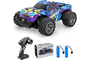ACAMMZAR AT1 Voiture Télécommandée, 1:20 RC Voiture Telecommandé Tout Terrain Adulte 20Km/h, 2WD 2.4GHz 60 mins d'autonomie avec 2 Piles, Cadeau pour Garçons Filles Enfants, Violet