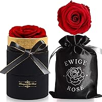 iteaauk Ewige Rosen, Infinity Rose, Echte Rosen, Die Schöne und das Biest Rose Geschenk Kit, für Valentinstag…
