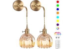 EIDEARAY Vintage Battery Operated Wall Lights,Rechargeable Wall Sconces with Dimmable Detachable Charging Bulbs and Remote,Wall Light with Amber Tulip Glass Lampshade for Living Room Bedroom Hallway(2 Pack)