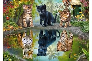 Schmidt Spiele 57392 Dream Big, Cats, 1000 Pieces Puzzle