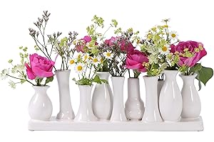 Jinfa Vasi per fiori decorativi ceramica centrotavola design | Bianco 31x7x11 cm | 10 vasetti