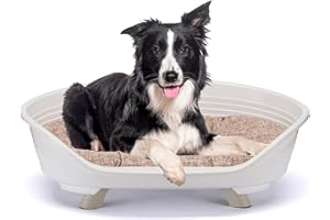 Ferplast Cuccia Cane e Gatto con Cuscino in Cotone, Cuccia Rialzata per Cani Media, Lettino per Cani Lavabile, Traspirante e Antiscivolo, THRONE 82 x 59,5 x h 29,5 cm, Bianco