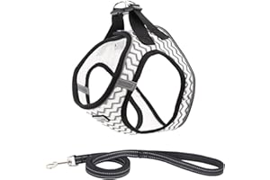 Suredoo Hundegeschirr mit Leine Anti Zug Geschirr Reflektierend Brustgeschirr für Kleine Hunde, Haustiere, Welpen, Katzen (Weiße Welle, S)