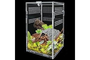 ZeYou Terrarium dla gadów, przezroczyste akrylowe pudełko na karmę dla gadów, przenośne pudełko do hodowli gadów, terrarium ślimaków, na pająki, jaszczurki, skorpiony, chrząszcze, krykiety, mantisy,