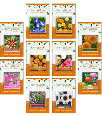 LiLiページ ZX- Lily Flowering 2 bulbs Fragrant Flower Plants Seeds for Home