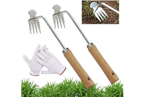EGYNDIOR 2 unidades Extractor de hierbas manual, sacapuntas manual, con 1 par de guantes de algodón, elevador de malas hierbas de mano con mango, herramienta desherbida de acero inoxidable, herramientas de