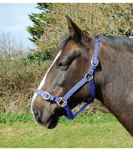 Tappeto Impermeabile 600D Per Cavalli - Leggero, 100g, Colore Rosso Con Cinturino In Velcro - Foto 7