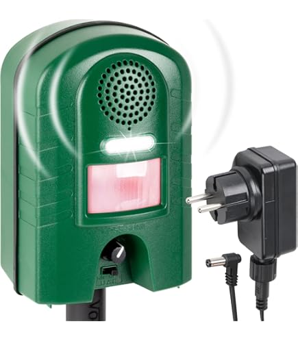 Marder In Der Garage? » Mit Diesem Schutz Gelingt Die Marderabwehr - Foto 11