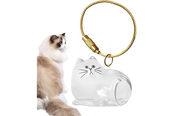 Bouteille de rangement de poils de chat, porte-clés pour récupérer les poils de chat et de chien, chats transparents chats bouteille de rangement, portable pendante de rangement de cheveux mignons
