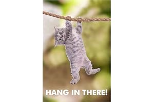 KIWI zolto colección gato Hang-in-There 30,5 x 45,7 cm