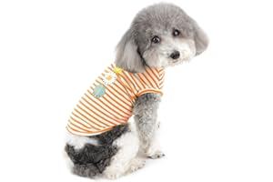 ZUNEA Maglietta per Cani Piccola Taglia Ragazza Ragazzi Morbido Cotone Estate T-Shirt A Righe Cucciolo Vestiti Camicia Canotta Pet Shirts Gatti Abbigliamento Chihuahua Arancione XXL