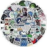 Confezione di adesivi hacker 50 pezzi adesivi in ​​vinile per bottiglia d'acqua da uomo, laptop, auto, skateboard, caverne, d