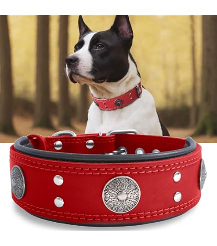 max und molly halsband MAX & MOLLY Intelligentes ID Halsband