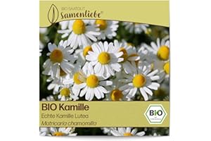 Samenliebe BIO Kamille Samen alte Sorte Echte Kamille Lutea Wildkräuter Bienenpflanze weiß 3000 Samen samenfestes Kräuter Saatgut für Küche indoor und Balkon Garten BIO Kräutersamen mehrjährig