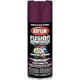 Krylon K02798007 Fusion All-in-One Spray Paint, Sweet Fig