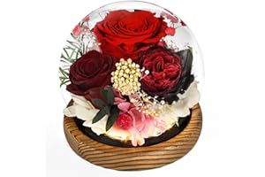 ‎BEINHOME Ewige Rose im Glas mit Licht, Infinity Blumen Konservierte Rosen als Geschenke für Frauen Mama Oma Freundin zum Valentinstag Muttertag Geburtstag Jahrestag Thanksgiving Hauptdekor Weihnachten, Rot