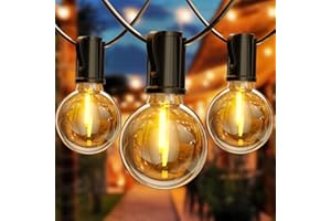 FIFlying Catena Luminosa Esterno 8.8M/29FT, G40 Luci da Esterno Giardino con 12+1 LED, 2700K Bianco Caldo Impermeabile Catena Luci Esterno, Adatta per Festival, Matrimoni, Feste, Giardini, Terrazze