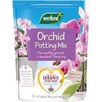 Westland Orchid Droplet Feeder - Alimentatore Pronto All'Uso Per Orchidee 40ml - Nutre La Pianta Per 4 Settimane, Favorisce Crescita E Fioritura