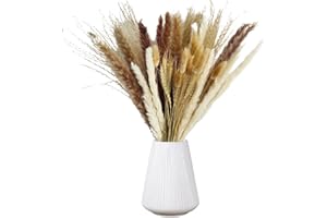 GIYIM 50 PCS Dried Flowers Bouquet - Natural Pampas Grass Boho Home Decor, Phragmites Dried Flowers, Bunny Tails for Wedding Rustic Farmhouse Party Floral Arrangements Decorations
