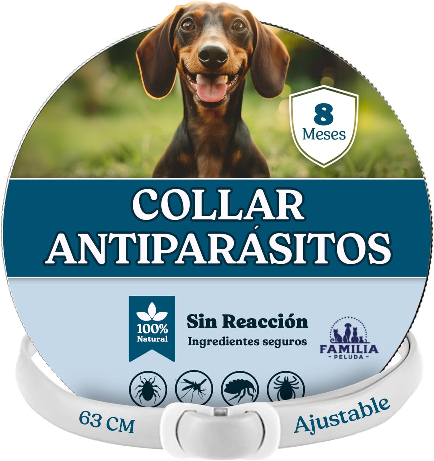 Collar Antiparasitario Perros, Collar antipulgas Perros pequeños y Grande, Leishmaniosis (Mosquitos), Pulgas y Garrapatas - 8 Meses - 63cm Ajustable, Repelente 100% Natural, Impermeable