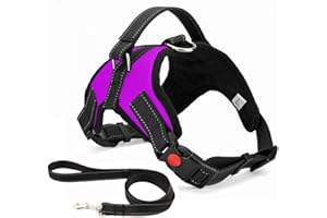 Musonic No Pull Dog Harness Breathable Adjustable Comfort Free Leash Included for Small Medium Large Dog Best for Training Walking M Purple