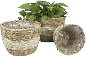 La Jolíe Muse Panier à Plantes d'herbe de Mer Seagrass pour Un Usage Interne et Externe, Couvercle de Pots de Fleurs, Contenants de Plantes, Beige, 26cm+22cm+16cm (3 Paquets)
