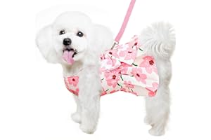 YUEXNKO Hundekleid für weibliche Kleine Hunde,Hund Kleider Geschirr und Leine,Dog Kleid für kleine Hunde,Sommerkleid für small Haustiere,Mädchen-Hundekleid für Kleine,Mittelgroße Haustiere (L)
