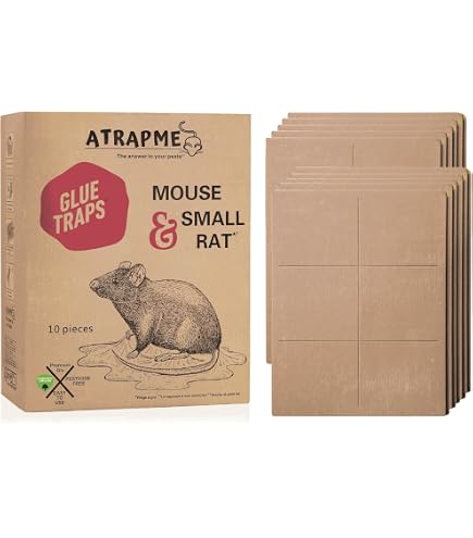 Piège à Souris Et Rats Ultra Collant - Pack De 4 Pièges à Colle écologiques Non Toxiques - Pour Maison, Garage, Cuisine