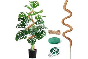 Aulese Podpórka do roślin pnących Monstera 125 cm, z akcesoriami, podpórka do roślin pokojowych, wsparcie roślin pnących w pomieszczeniach