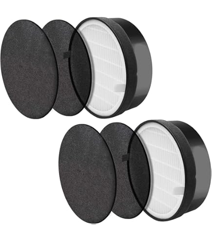 Caisson Filtration HEPA Particules Et Charbon Actif Pour Les