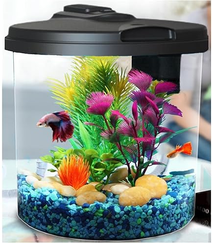 Fish Tanks Gallon Nano Tall Rimless Frameless All Glass