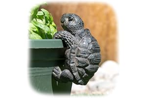 ProdBuy Home Plant Pot Hanging Garden Ornament (Light Black Tortoise)