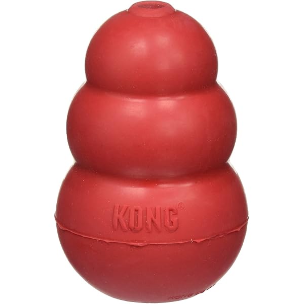 Kong Lot de 2 Grands Classiques pour Chien