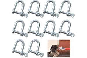 EDDRFY 10PCS M8 D Shackle Heavy Duty, D Ring Shackle 304 Stainless Steel with Screw Pin, Rustproof Marine D Shackles for Ropes Chains Camping Lifting Hiking Accessories and Rope Chain Link
