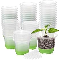 Kalolary Vasi per piante da vivaio 30P, vaso trasparente da 10,2 cm con