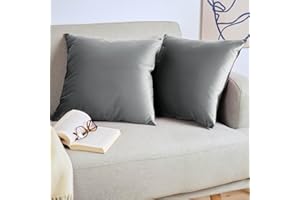 Blumtal Set di 2 Federe Cuscini Divano 40x40 cm in Velluto, con Chiusura Lampo Invisibile, Eleganti Copricuscini Divano in Morbido Velluto,Taglia 40 x 40, Grigio Scuro