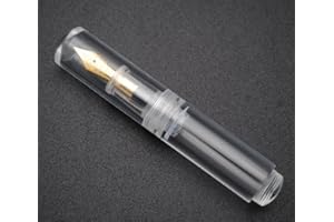 czxwyst Wancai Mini penna stilografica trasparente, formato tascabile, pennino F