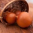PREMIER SEEDS DIRECT - Onion - AILSA Craig - 6.0 GRAM ~ 1500 Finest Seeds