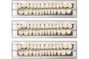 GBULTR 84 Piezas de Dientes Falsos de Resina Acrílica, Dientes Postizos Temporales para Maquillaje Cosplay, Dentadura Perfecta para Educación y Props de Halloween, Tono A2, Incluye Molares y Premolares