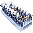 AUDIO LITE 800W RMS Mono Amplifier Board Using 2SC5200 + 2SA1943 With Speaker Protection (800W Complete RQ-1)